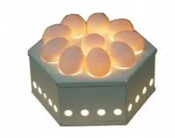 Овоскоп Итерма (Iterma) Egg10 – купить в RuOborudovanie.ru с доставкой до двери Купить овоскоп итерма (iterma) egg10 – цена от завода, доставка до двери | RuOborudovanie.ru
