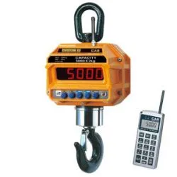 Купить весы крановые cas 10 thd tw-100 с пультом ду (10т/5кг) – цена от завода, доставка до двери | RuOborudovanie.ru