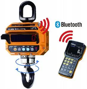 Весы крановые Cas 2 THD TWN (2т/1кг) IP65 электронные – купить по цене завода