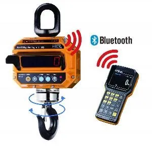 Весы крановые Cas 20 THD TWN (20т/10кг) IP65 электронные – купить по цене завода