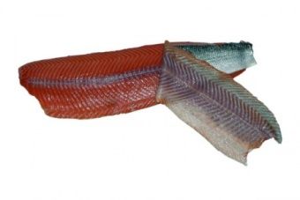 Шкуросъёмная машина для рыбы Nock Cortex CBF 496 SALMON – купить по цене завода