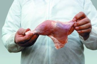 Шкуросъёмная машина Nock Cortex CBP 695 POULTRY – купить по цене завода
